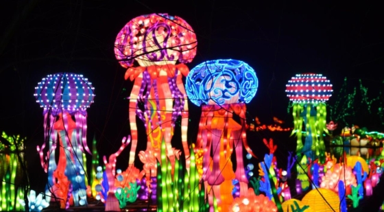 Chinese- Lantern-Festival-Pomona